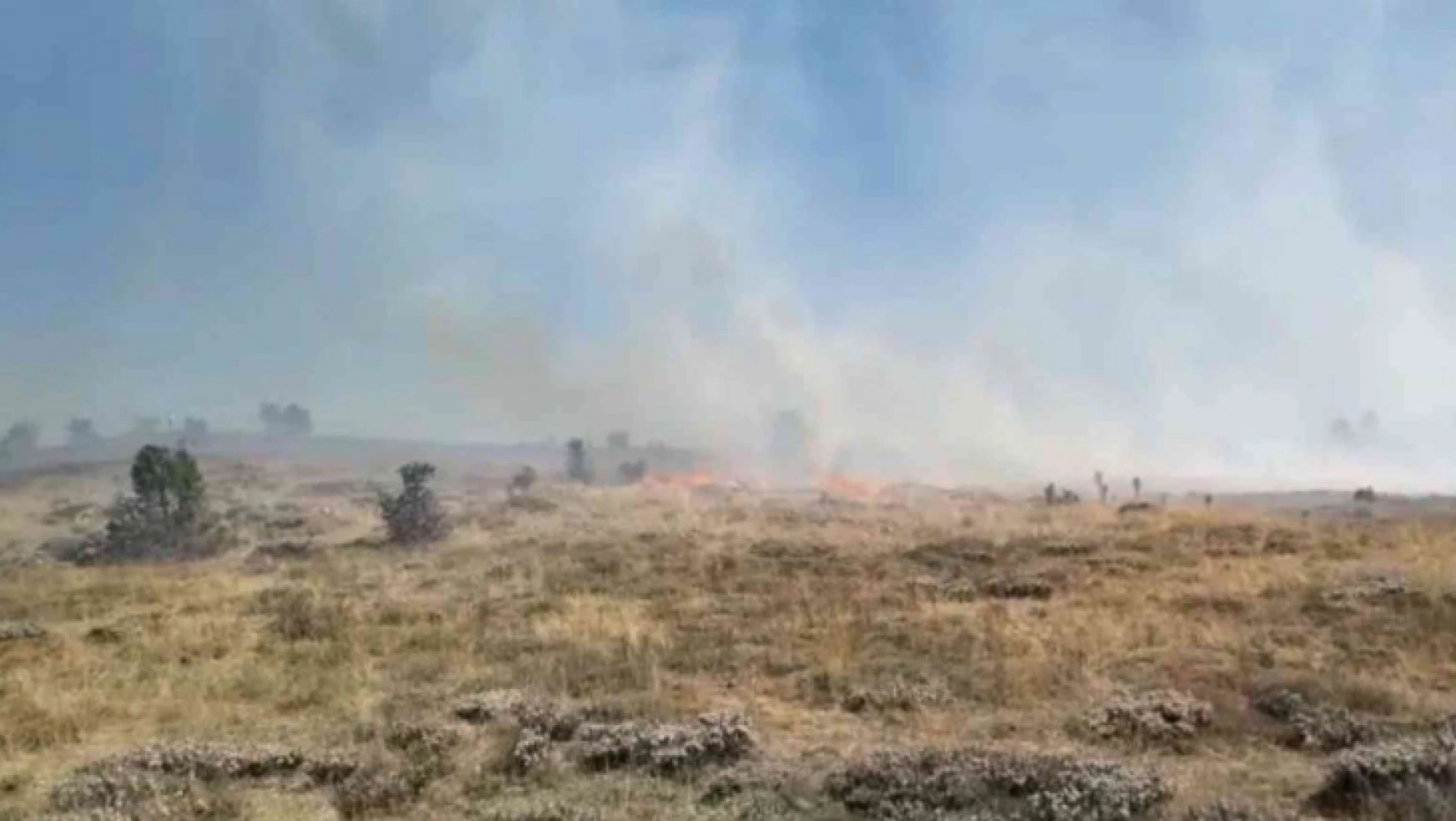 Giresun'da örtü yangını, ormana sıçramadan kontrol altına alındı
