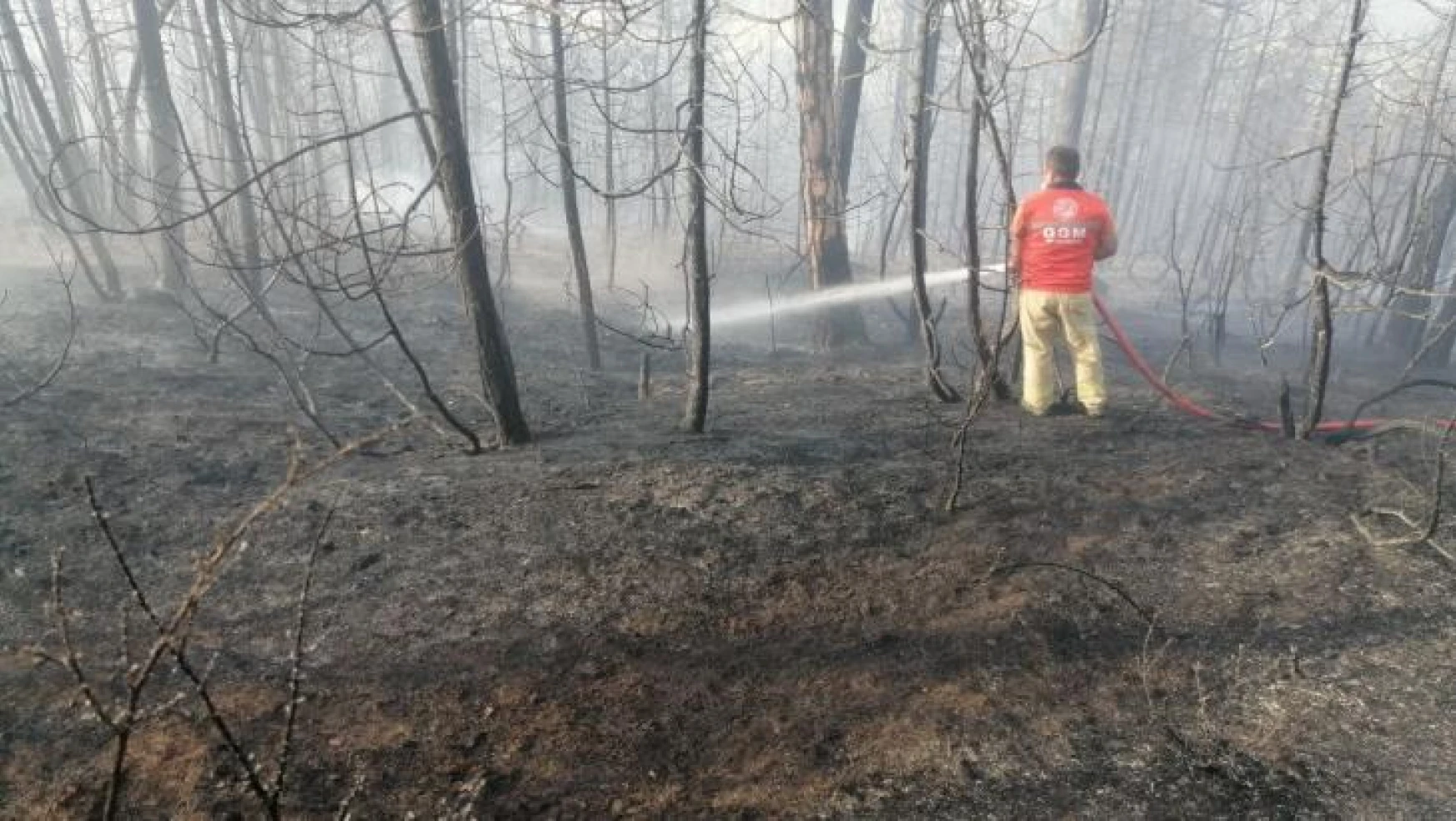 Göynük'teki orman yangının sebebi belli oldu