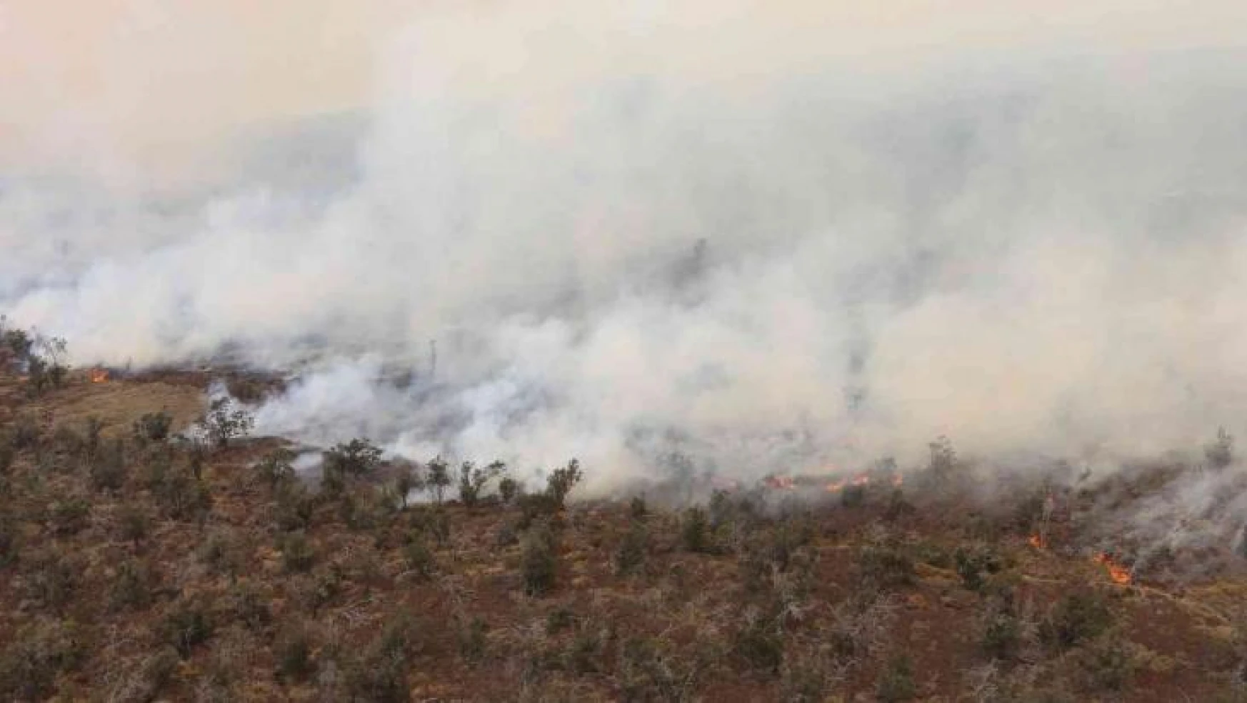 Hawaii'de çalılık alanda yangın: 9 bin 800 hektar alan kül oldu