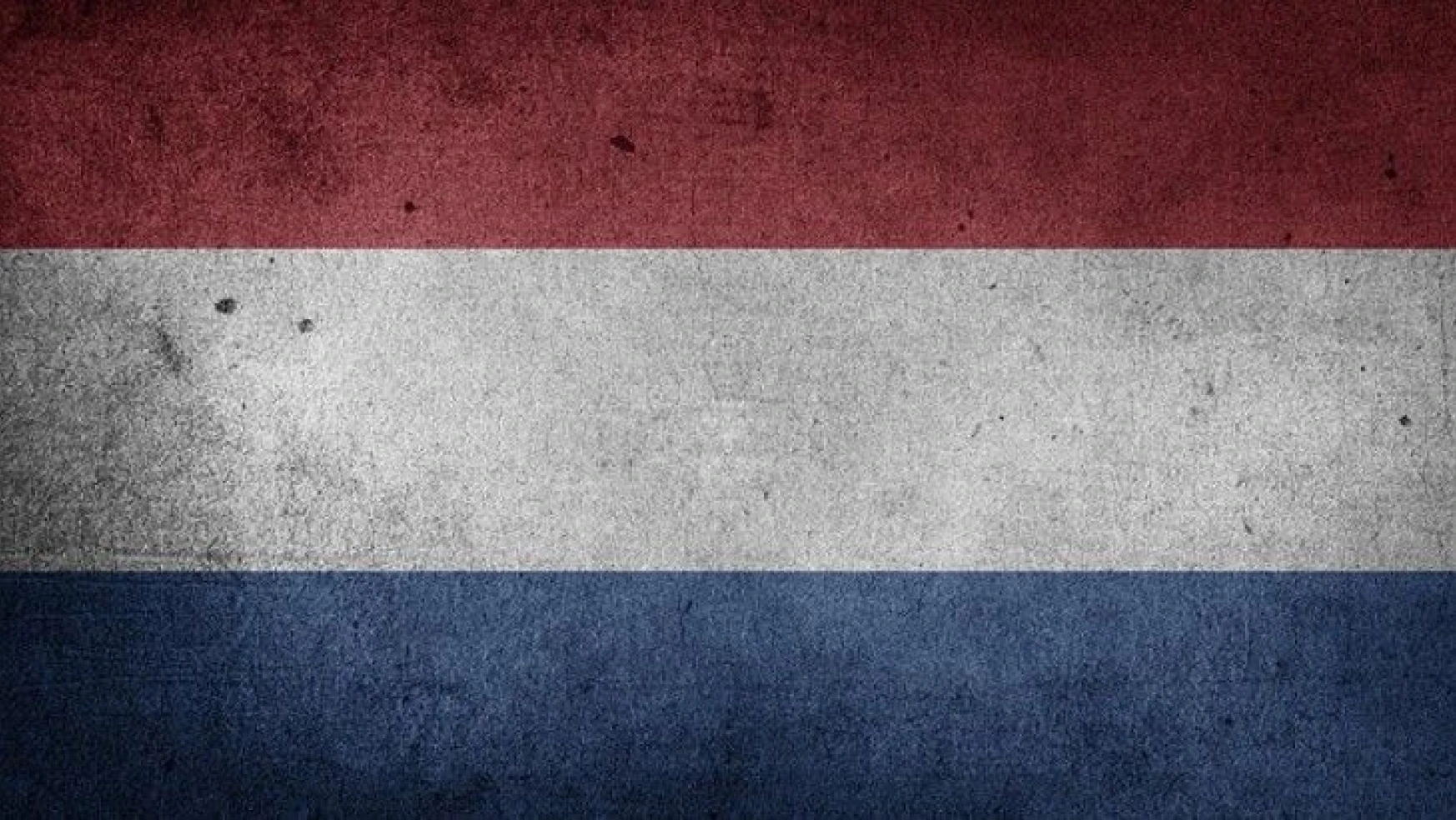 Hollanda göçmenlere işe alımda eşit fırsatı tartışıyor