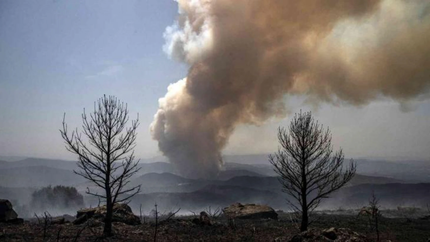 İspanya'daki orman yangınında 2 bin hektarlık alan küle döndü