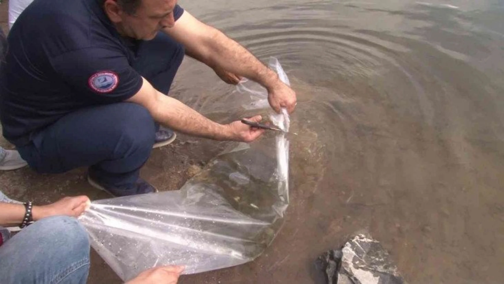 İstanbul İl Tarım ve Orman Müdürü Karaca: '2 milyon 24 bin adet sazan balığını iç sularımızla buluşturduk'