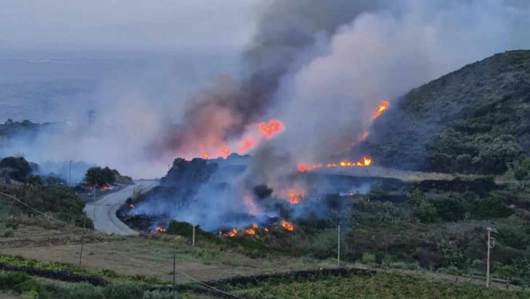 İtalya'nın Pantelleria Adası'nda orman yangını