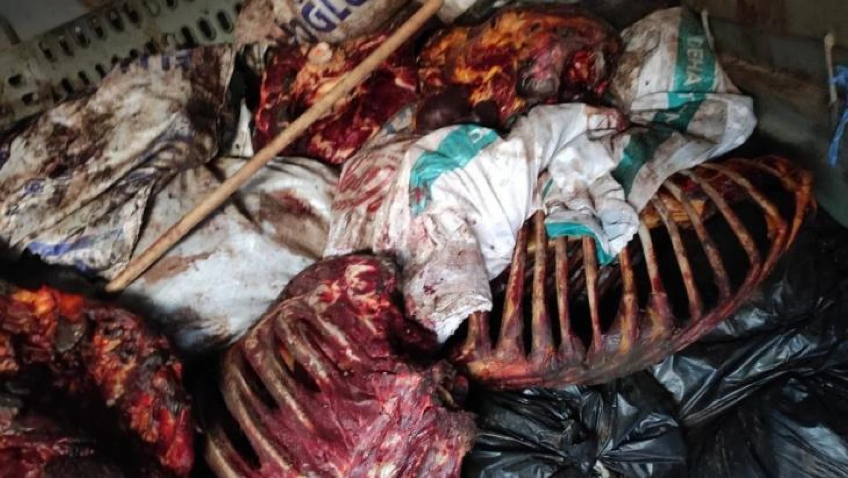 İzmir'de çürümeye yüz tutmuş 3 bin 660 kilo at eti ele geçirildi