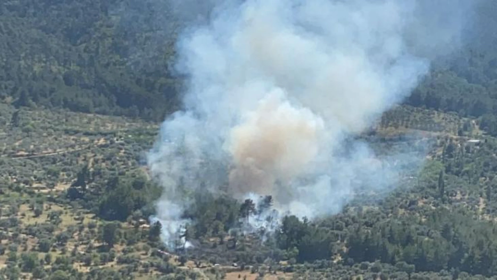 İzmir'de orman yangını kısa sürede kontrol altında