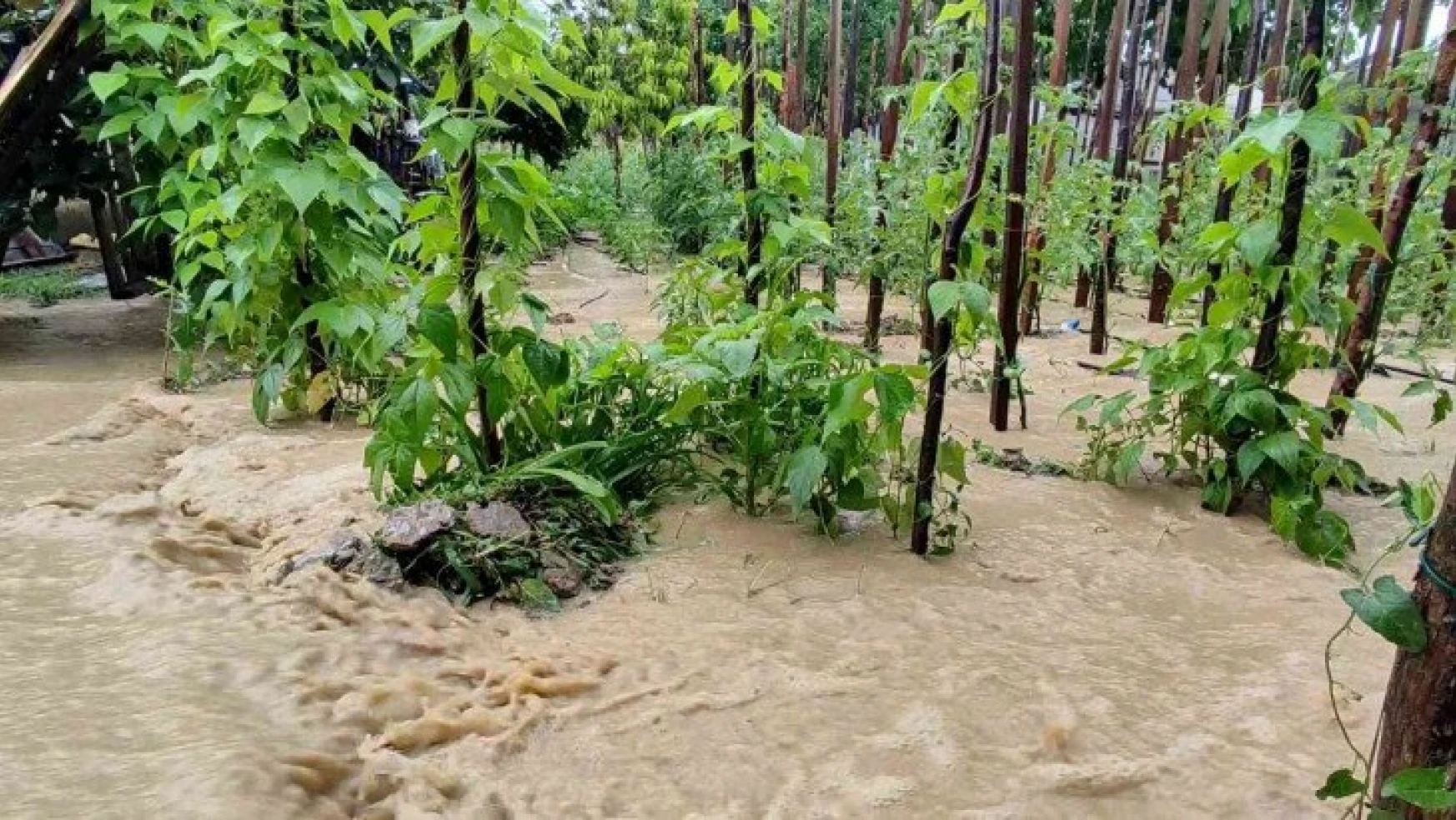 Karabük'te yollar ve tarım arazileri sular altında kaldı