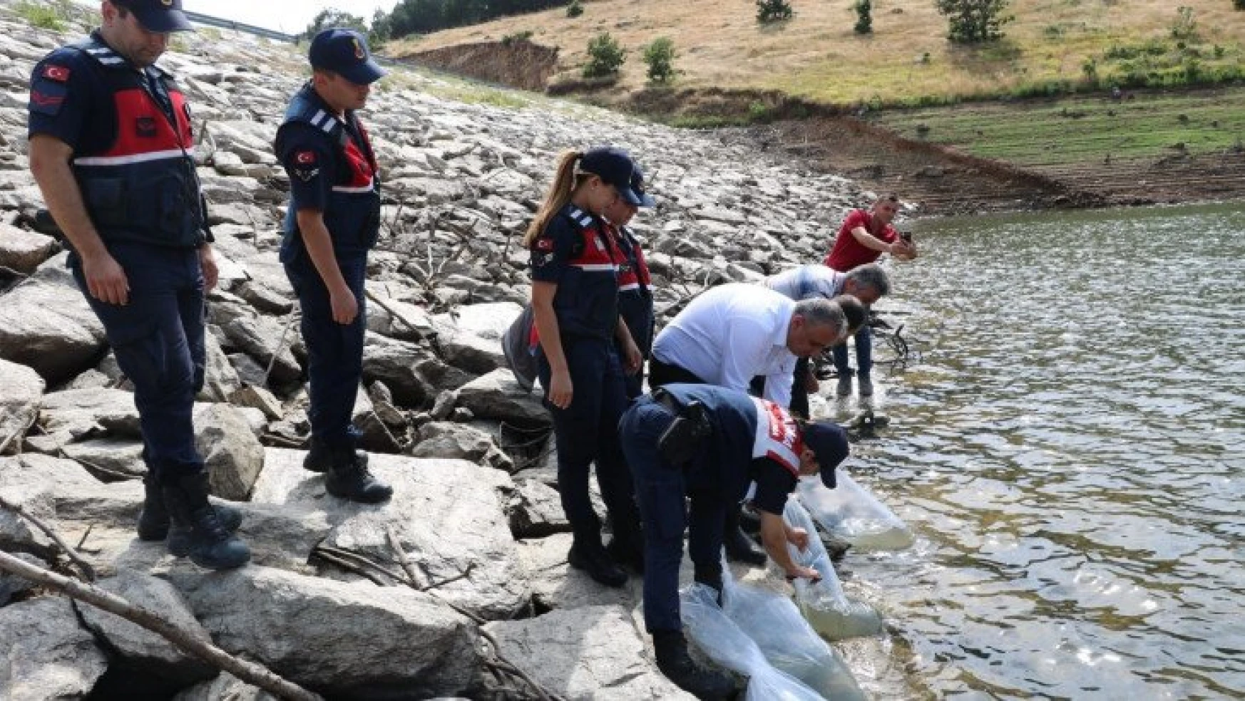 Kırklareli'nde 30 bin balık yavrusu göletlere salındı
