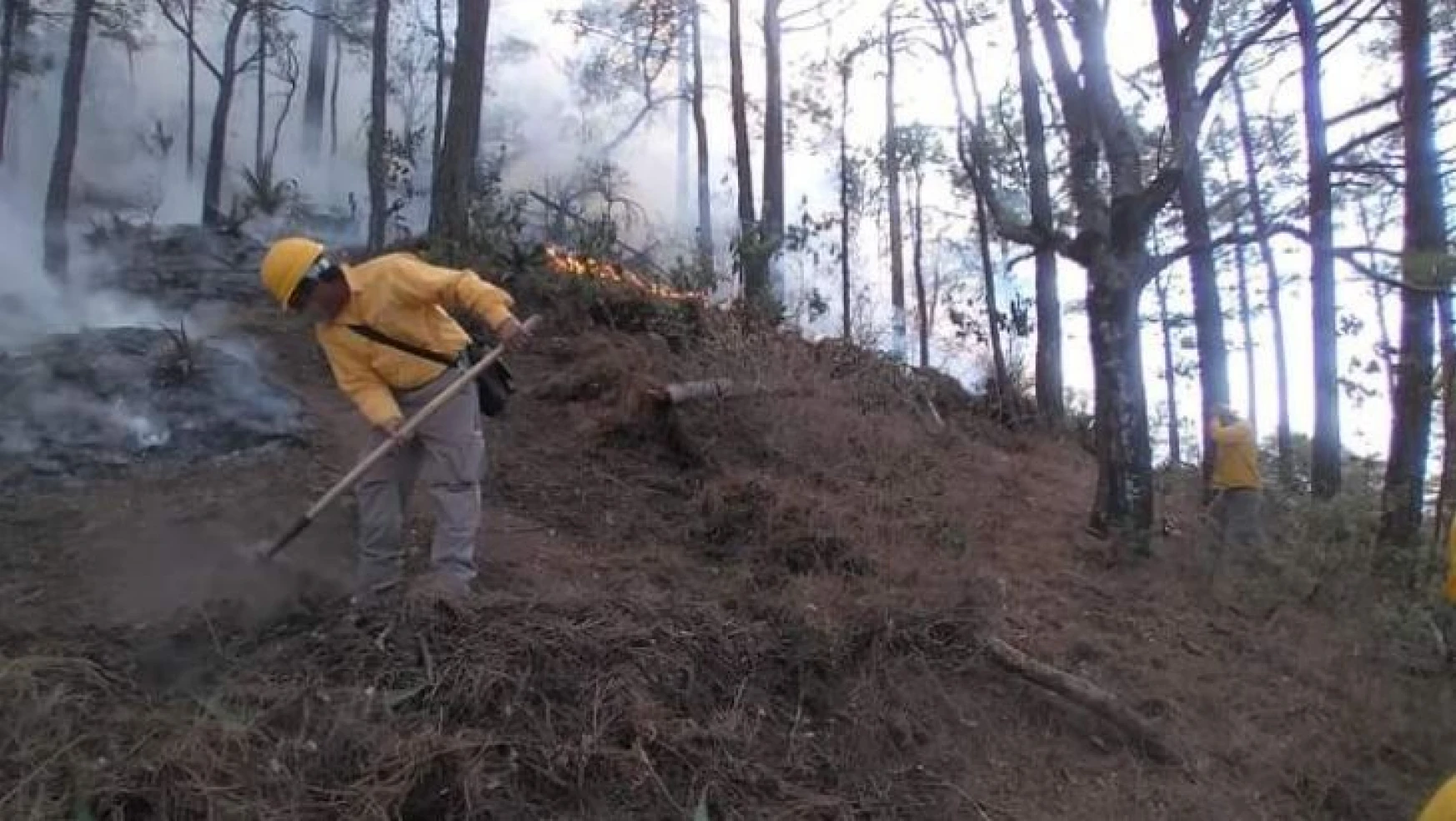 Meksika'da orman yangınlarıyla mücadele devam ediyor