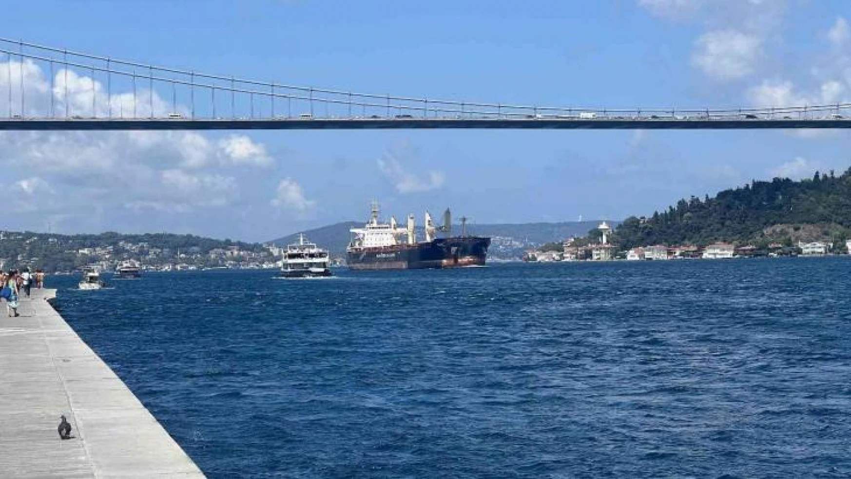 Mısır yüklü 'Rojen' isimli tahıl gemisi İstanbul Boğazı'ndan geçti
