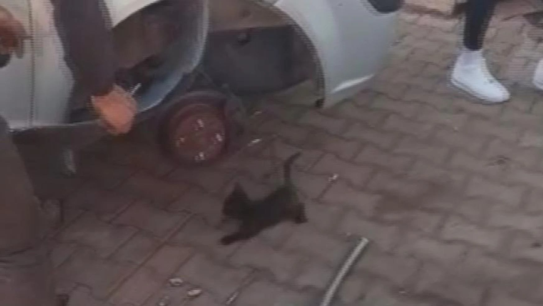 Otomobilin çamurluğuna sıkışan yavru kediyi esnaf kurtardı