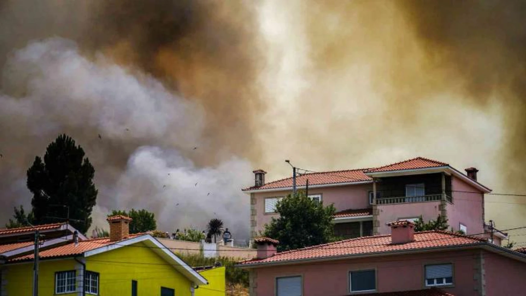 Portekiz'de yangın söndürme uçağı düştü: 1 ölü