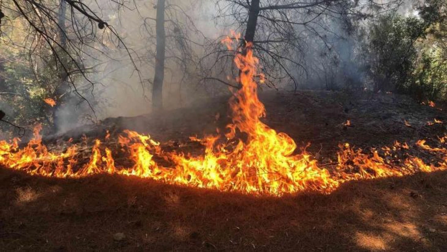Spil Dağı'ndaki orman yangını hızlı müdahaleyle söndürüldü
