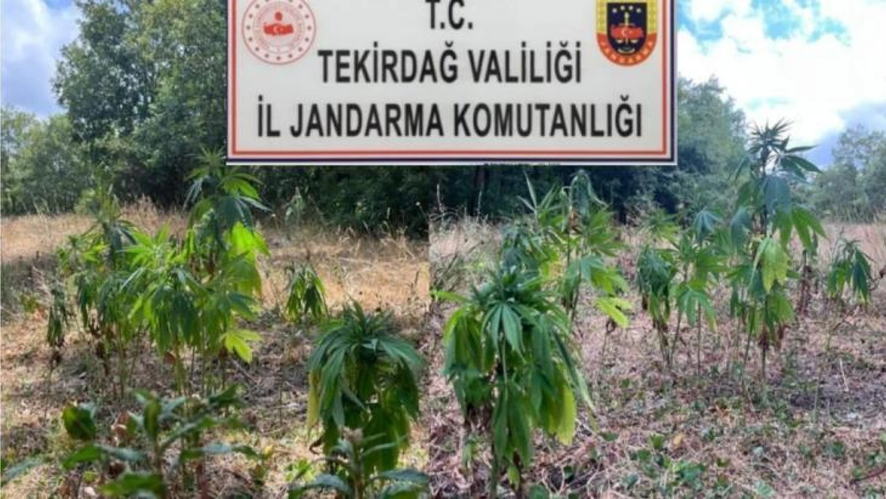 Tekirdağ'da uyuşturucu operasyonu: 1'i Gürcistan uyruklu 4 kişi tutuklandı