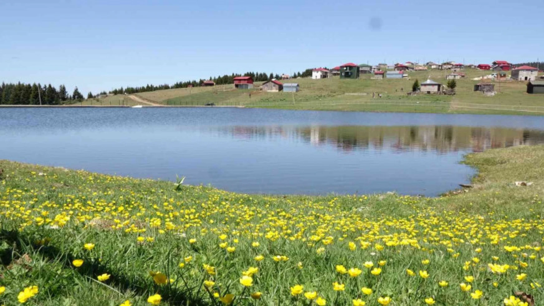 Trabzon'da kuraklığa karşı önlem göletler
