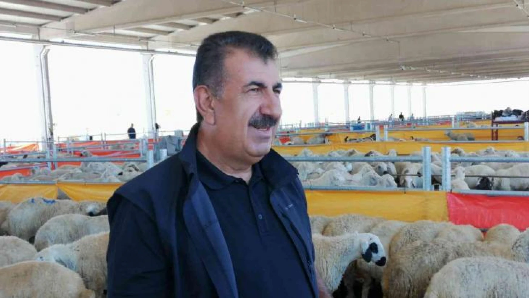 Türkiye Damızlık Koyun Keçi Yetiştiricileri Merkez Birliğinden kurban pazarlarına denetim