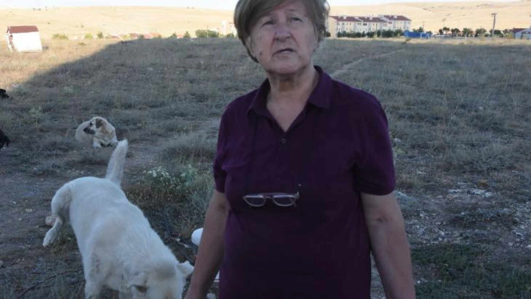 Yaşlı kadına 'sokakta hayvan besleme' tehdidi