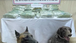 28 kilo 542 gram kubar esrar 'Yüzey' ve 'Siklet'in burnundan kaçmadı