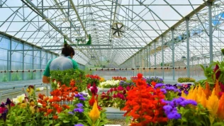 Atıkların çiçeği dönüştüğü projeye ödül