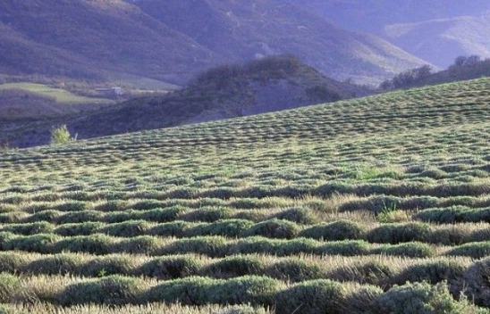 Çiftçiye 17 yılda 103 milyar üretim desteği