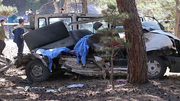 5 çocuğun öldüğü kazada sorumlu 'çam ağacı' oldu
