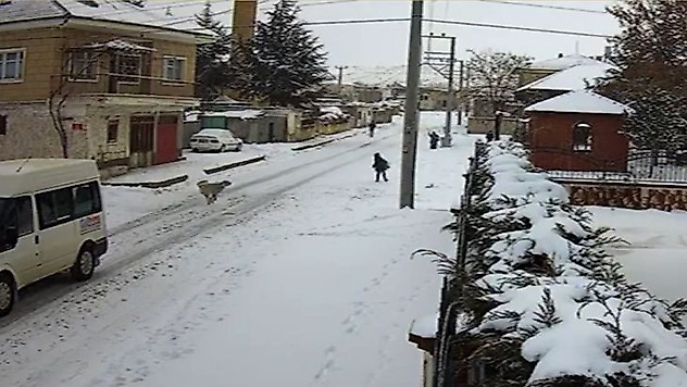 8 yaşındaki çocuğa köpek saldırısı kamerada