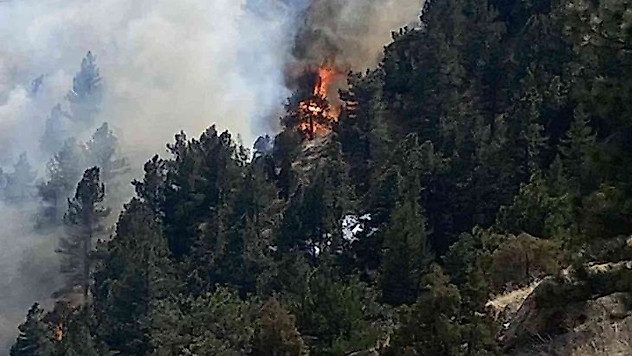 ABD'nin Colorado eyaletinde orman yangını nedeniyle 19 bin kişi tahliye edildi