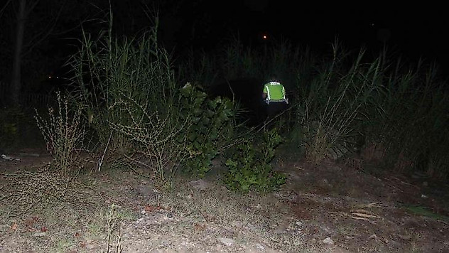 Adana'da otomobil otluk alana devrildi: 2 yaralı