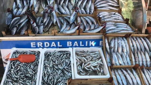 Akçakoca'da sezonun ilk hamsisi tezgahtaki yerini aldı