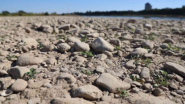 Almanya'da Ren Nehri'nin su seviyesinde ciddi düşüş