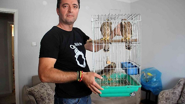 Anne atmacanın yuvadan attığı yavrulara anne oldu