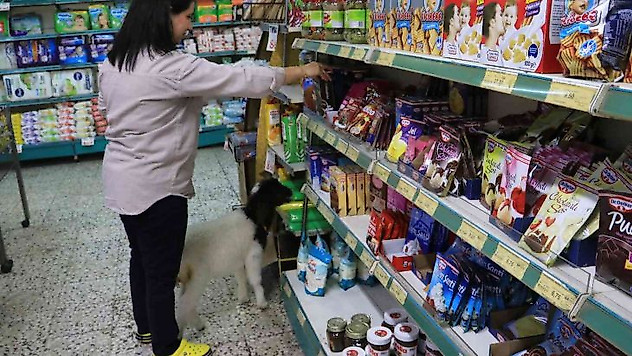 Anneleri ölmüş kuzulara evinde bebek gibi bakıyor