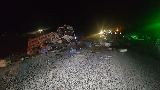 Arı yüklü kamyonla otomobil çarpıştı: 4 ölü, 3 yaralı