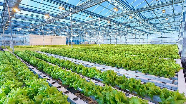 Assan Panel Azerbaycan tesisinde yeni ürün üretimine başladı