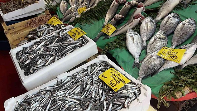 Av sezonu açıldı, tezgahlar balık doldu
