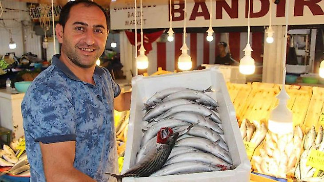 Av yasağı sona erdi, tezgahlarda palamut bollaştı