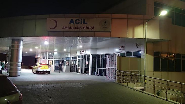 Ayı saldırısına uğrayan ve yaralanan çobanı köpekler kurtardı