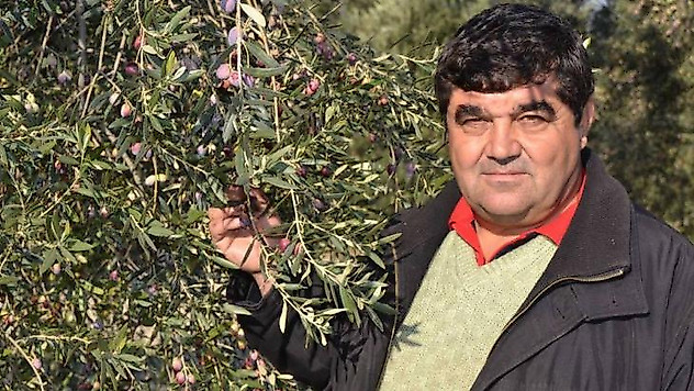 Ayvalık zeytinine platin ödül