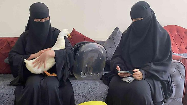 Bahçeşehir'deki ördekleri çantasına koydukları iddia edilen kadın yaşananları anlattı
