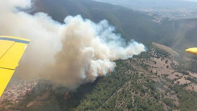 Balıkesir'de orman yangını kontrol altında