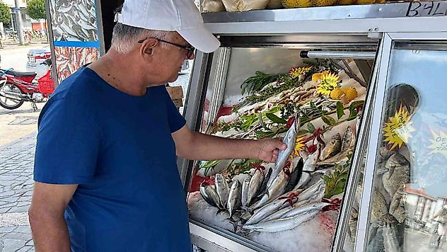 Balıkseverler bu sezon hamsi ve palamuda doyacak