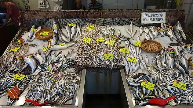 Balıkta bolluk yok, çeşitlilik çok