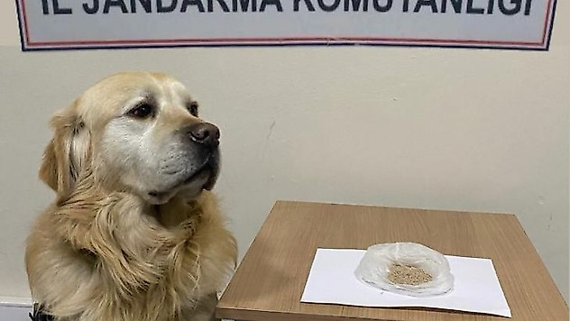 Başkent'teki uyuşturucu operasyonlarında 9 gözaltı