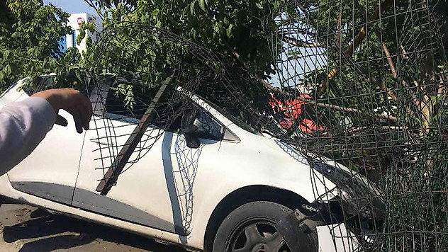 Bayrampaşa'da otomobil refüjdeki ağaca çarptı