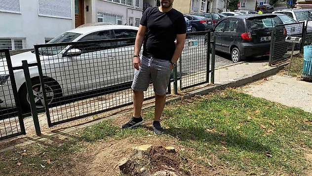 Beşiktaş Belediyesi Ayazma Parkı'ndaki 3 ağacı kesti