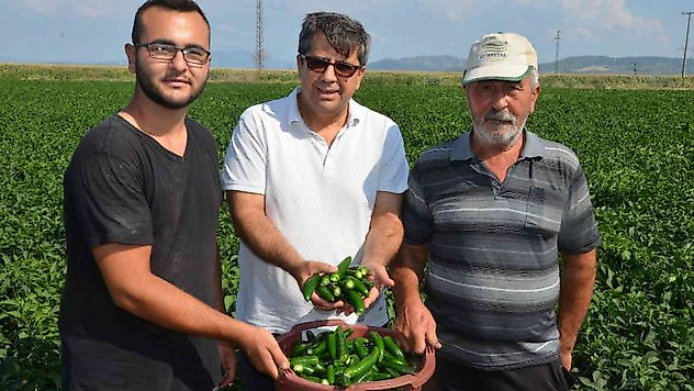 Biber eken 13 kat fazla kazanıyor