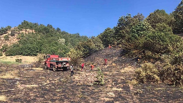 Bingöl'de çıkan orman yangını büyümeden söndürüldü