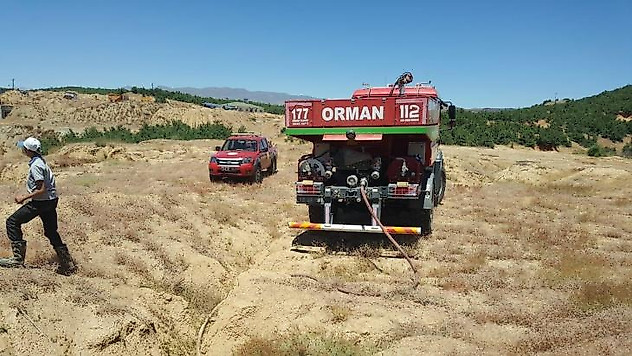 Bingöl'de orman yangını büyümeden söndürüldü
