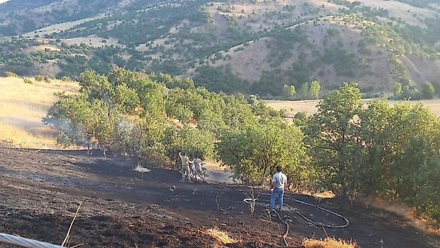 Bingöl'de otluk alanda çıkan yangın büyümeden söndürüldü
