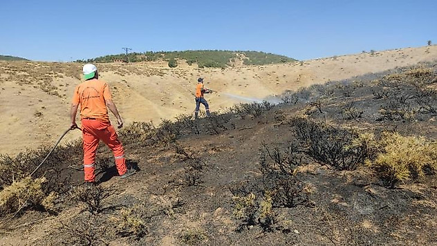 Bingöl'de otluk yangını ormana sıçramadan söndürüldü