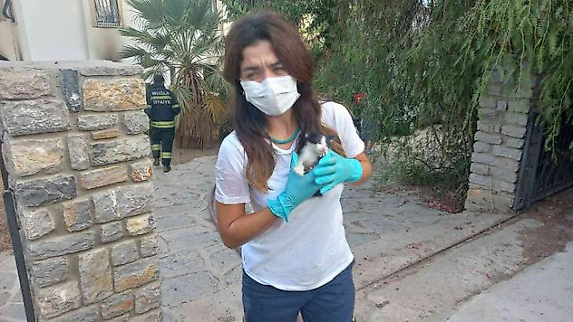 Bodrum'da evleri yanan vatandaşlar gözyaşlarına hakim olamadı